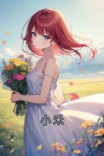 小禾林嘉禾沈执结局完整全文