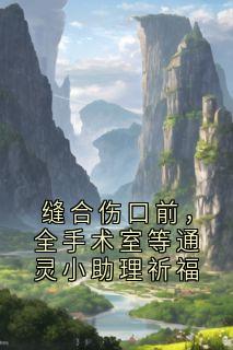 秦盈盈宋子熙小说 《缝合伤口前，全手术室等通灵小助理祈福》小说全文在线试读