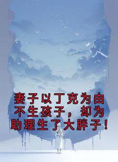 《妻子以丁克为由不生孩子，却为助理生了大胖子！》丁克宋清思大结局精彩阅读