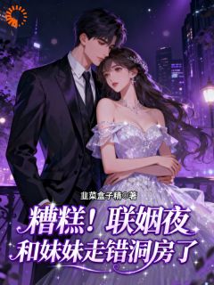 糟糕！联姻夜，和妹妹进错洞房了